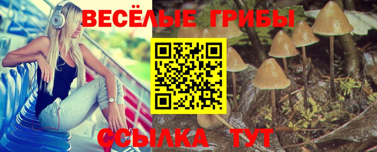 Псилоцибиновые грибы Cubensis  Вход с VPN  Луга 