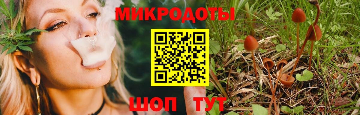 Псилоцибиновые грибы Cubensis Луга